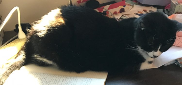 The struggle is real: Writer’s block and professional writing