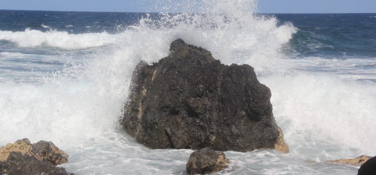 In the middle of the action